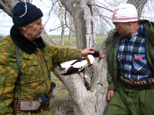 Что_то новое.
