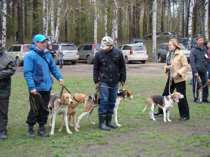 На выставке 18.0513г.