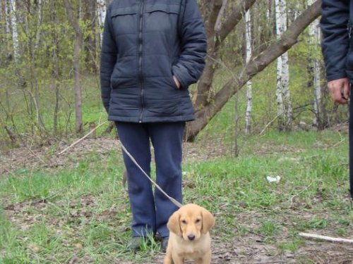 Учасники выставки. 