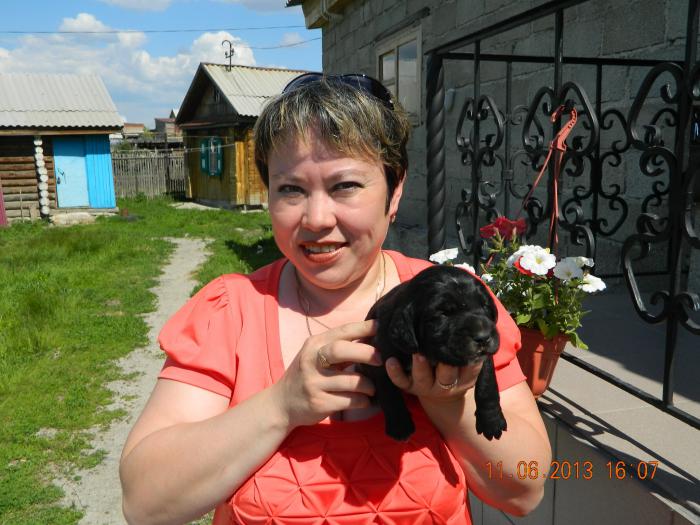 Смотрины.