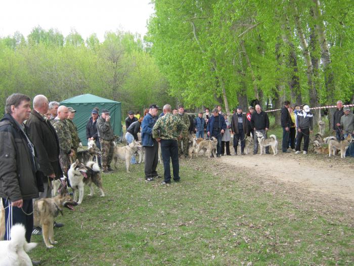обл.выстовка