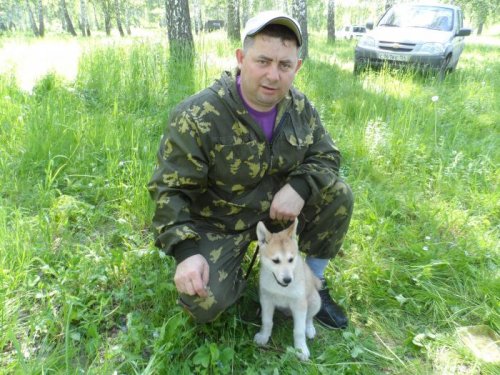рыжик охотник