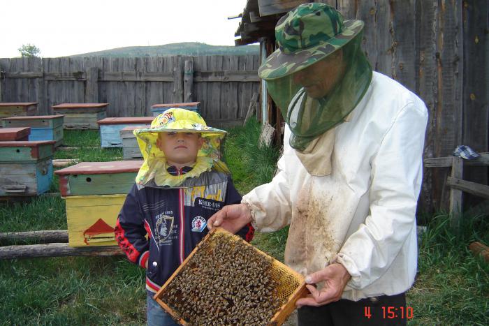 пчеловод