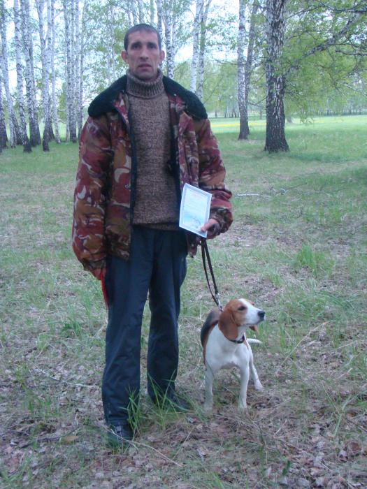 Испытания гончих. Черепаново.
