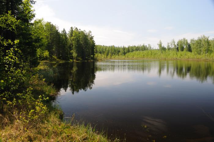 Озеро Кривое