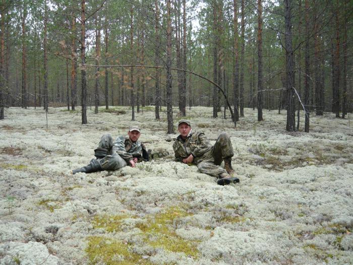 Ковёр.