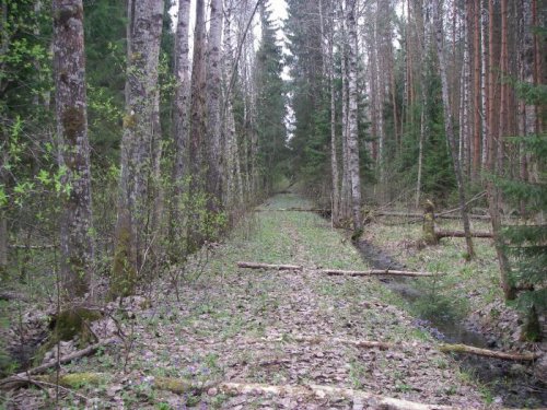 Просека по которой в старину охотился князь,длина по прямой 15 км.