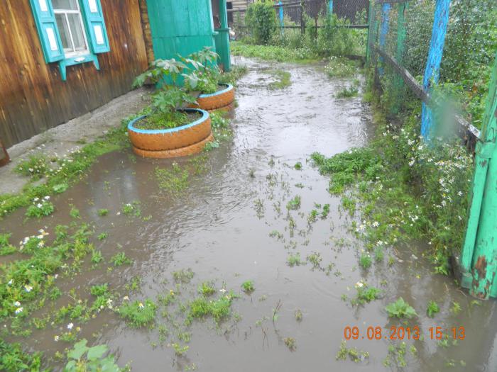 У нас во дворе.