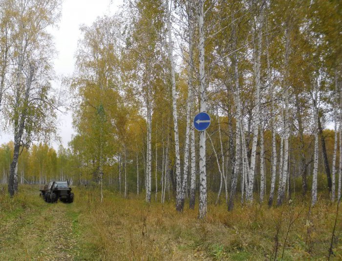 дорог нет, а знаки есть