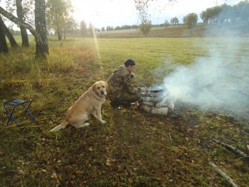 Контроль за приготовлением))