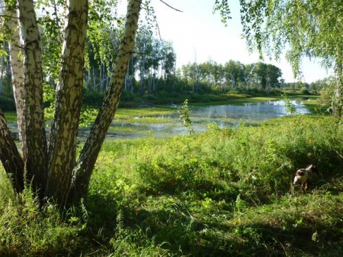 перед вечёркой......