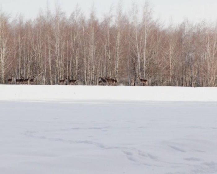 Насторожились. Такие фото долго приносят приятные поспоминания.