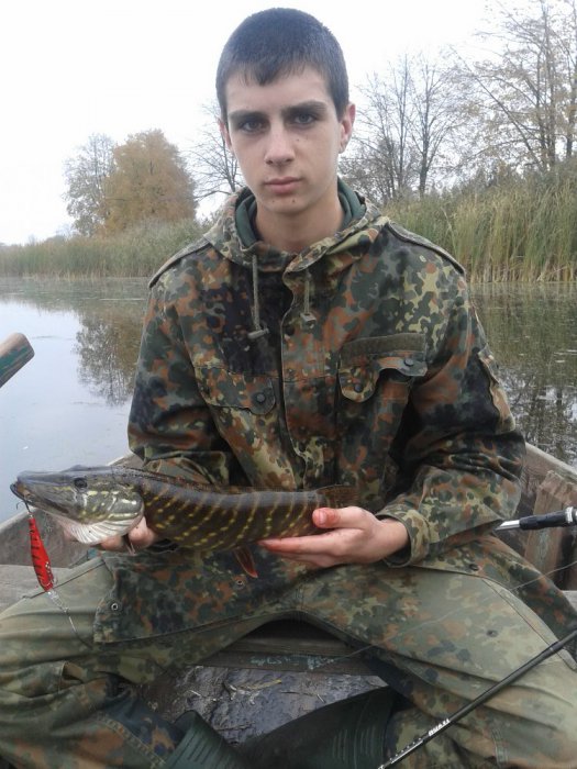 подарок осени))