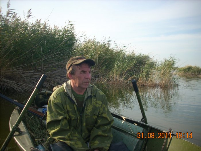 В камышах