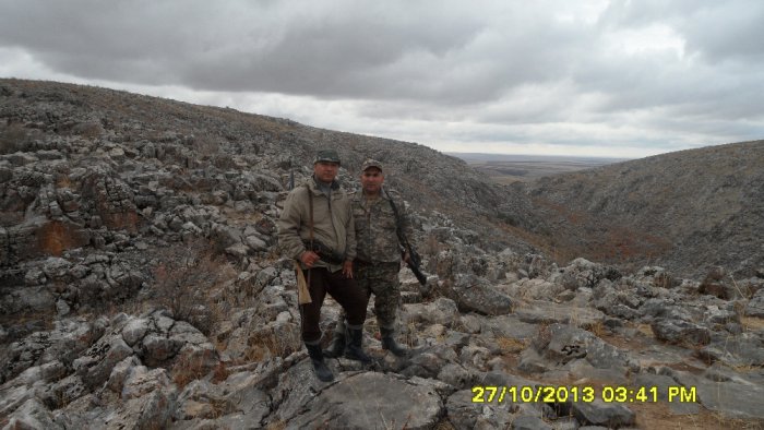 в поиске