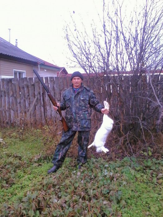 Открытие охоты на зайца. 2013 год