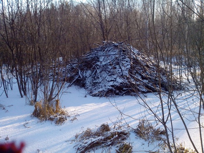 хилтон