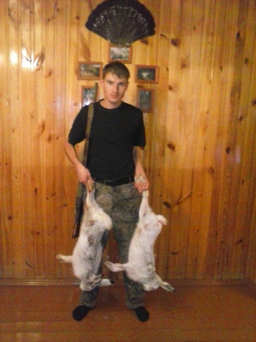 дома