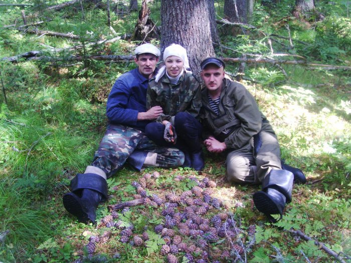 шишки МОРЕ))))))))