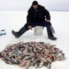 Госдума приняла в первом чтении законопроект о любительской рыбалке