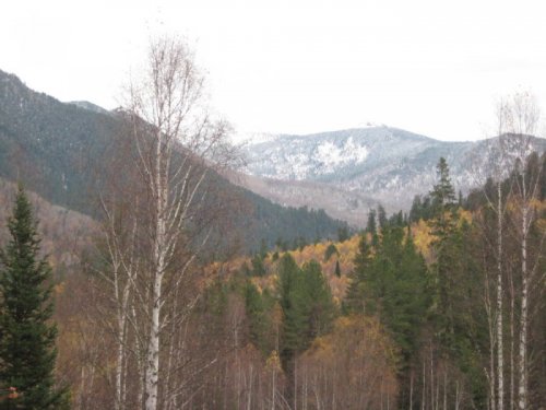 Горный алтай