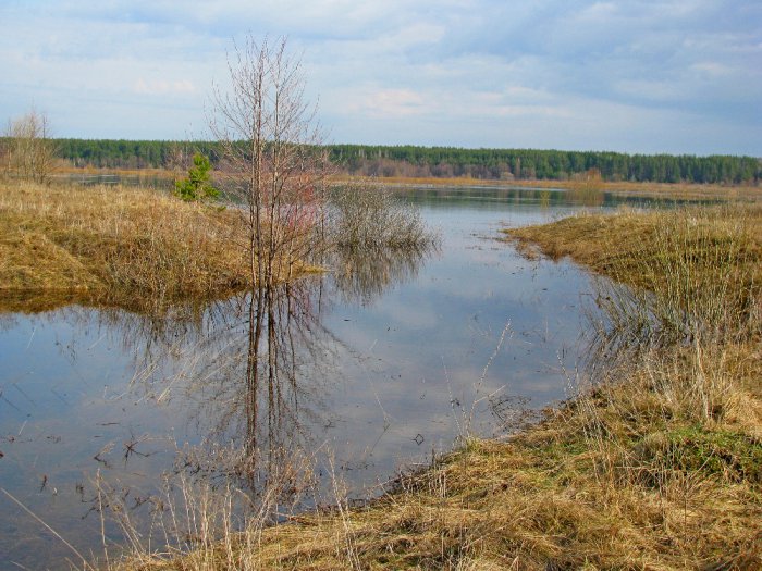 Апрельский день. Разлив