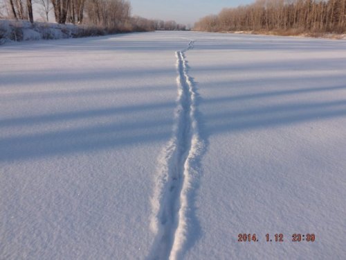 Выдра прошла.