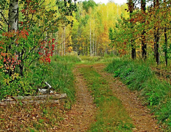 Осень в центральной полосе