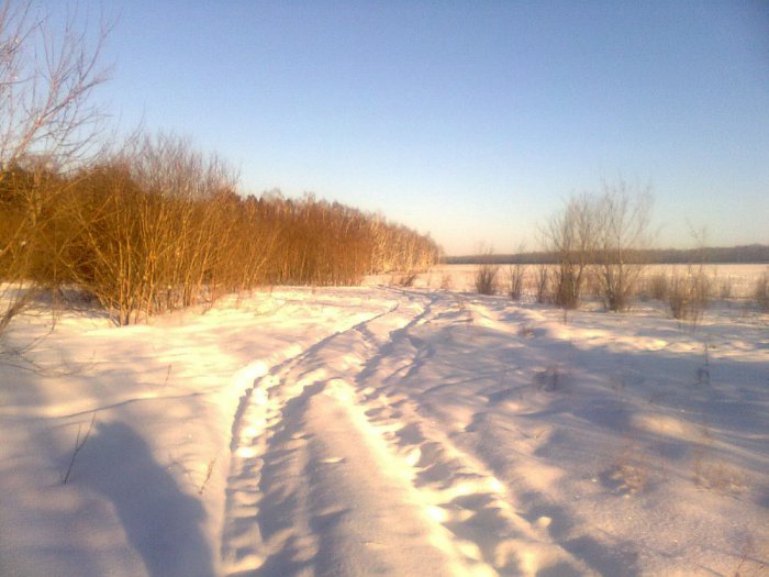 Поля... Козульский р-он!