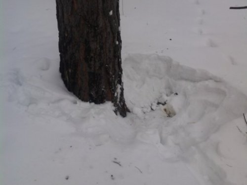 Козявкина спальня