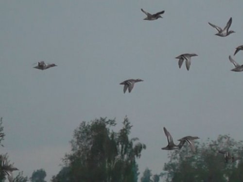13.06.2013г.