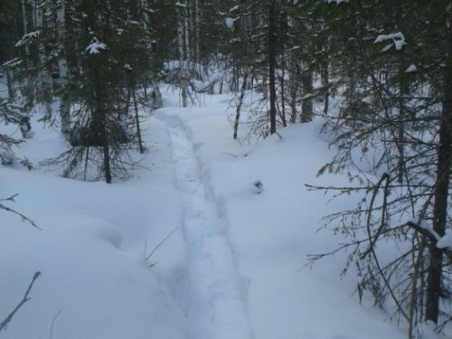 Два дня в таежной тиши Т.О.