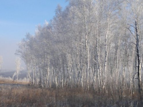 декабрь утро