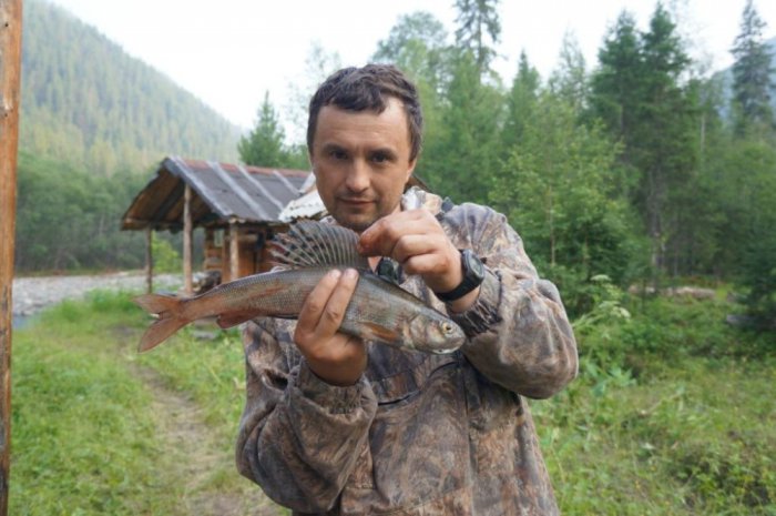 Леопард сибирских рек
