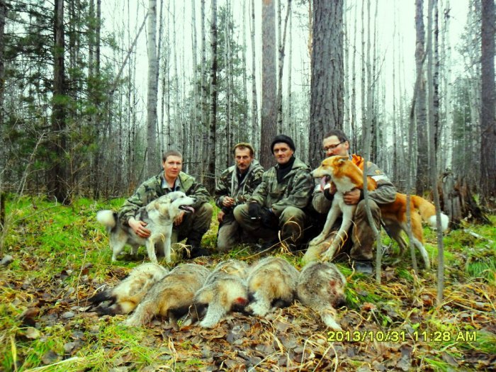 Когда открытие охоты в 2024 году весной. Сибирские охотники собиратели. Сибирская охотничья палата. Групповое фото охотники.