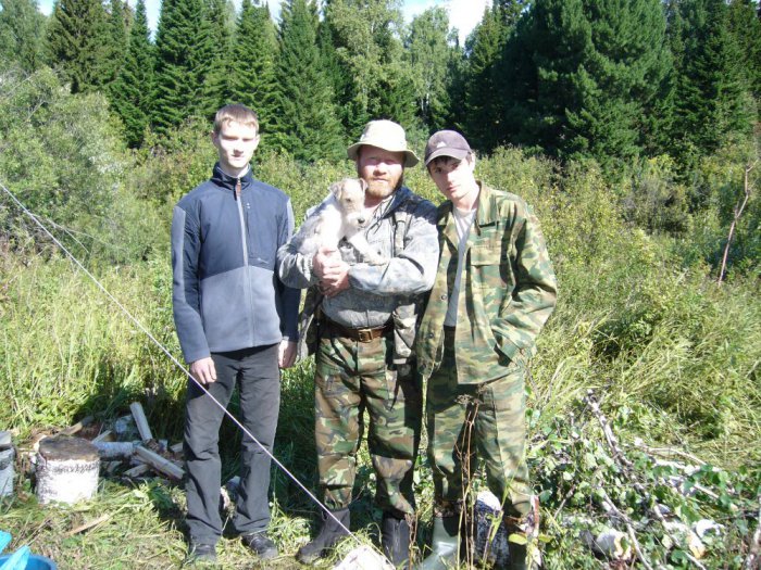 Трое в тайге не считая собаки