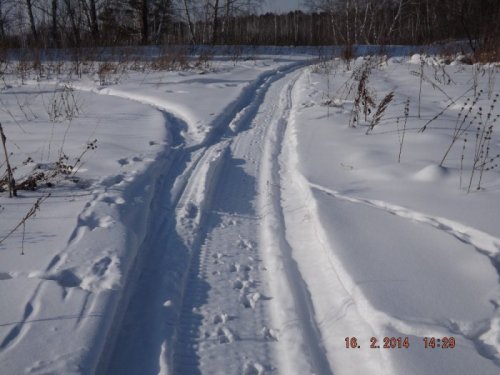 Козы прошли.