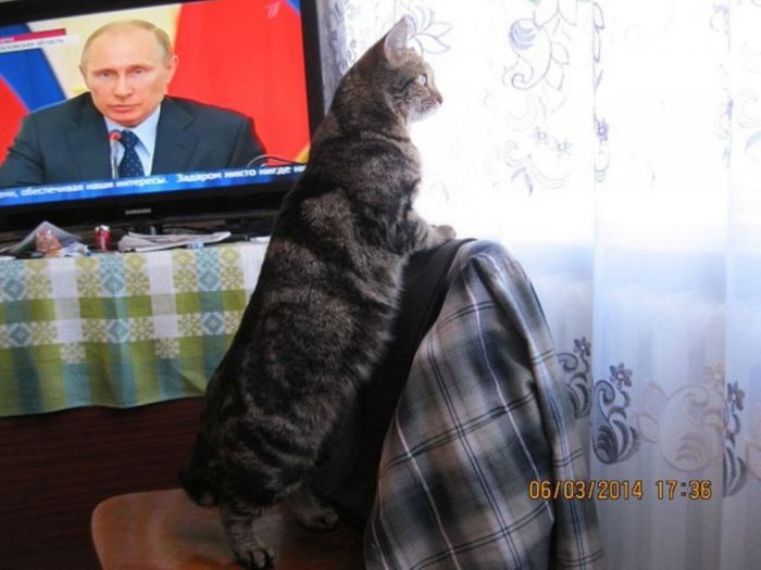 - С этой политикой чуть март не проморгал!