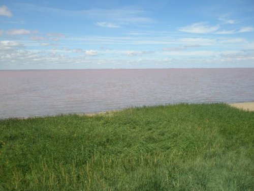 Степной Алтай Розовое озеро (рапа)