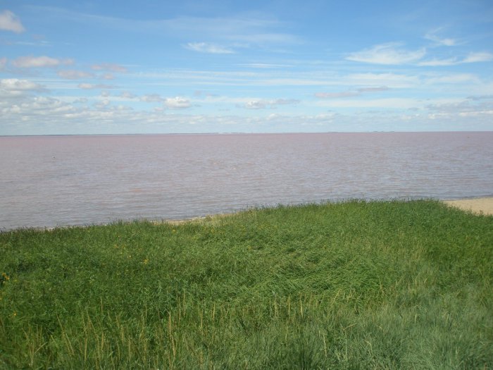 Степной Алтай Розовое озеро (рапа)
