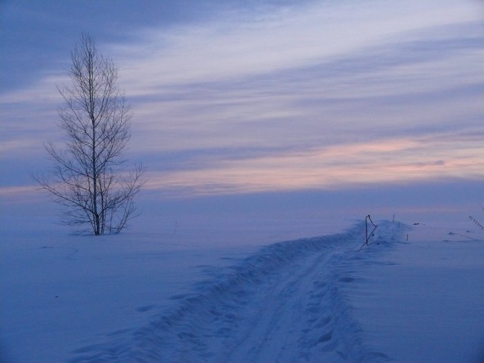 Лыжня в небо