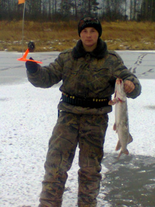1,5 кг