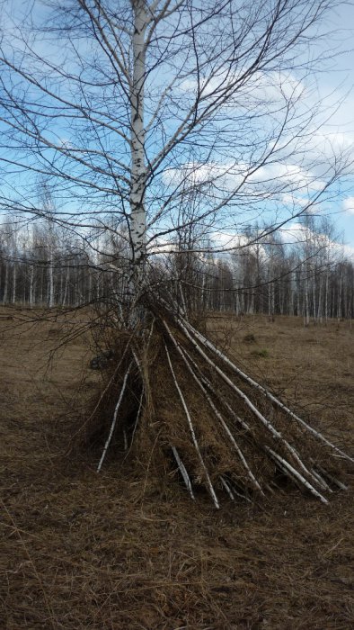 Скрадок