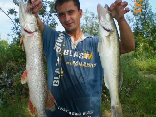 За колыванью