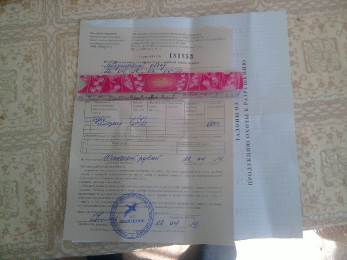 моя путевка за 600 руб