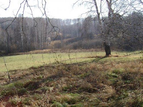 Осенняя пора
