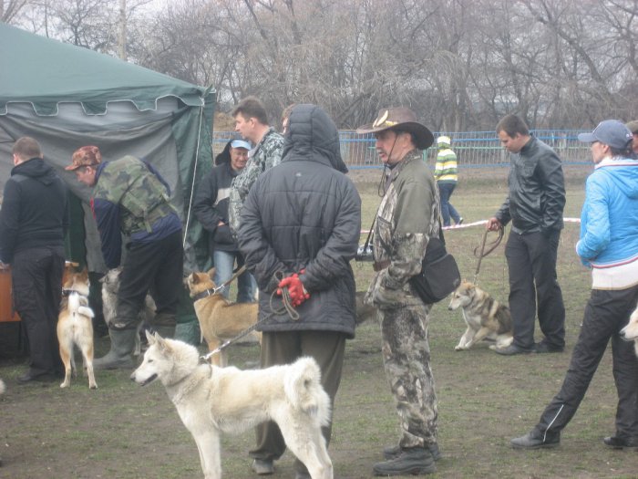 Новокузнецкая выставка 05.04.14