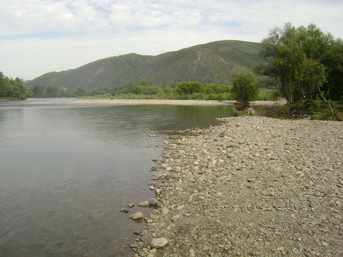 река Чарыш