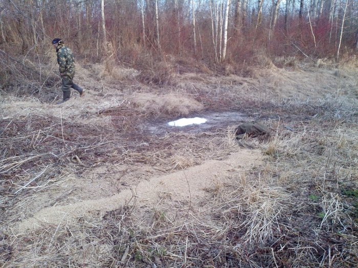 Обновляем подкормочные площадки.