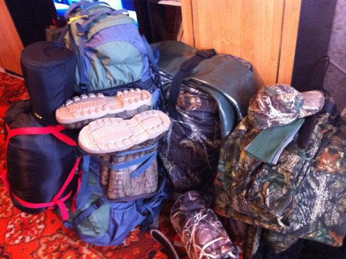 Гуси май 2014.